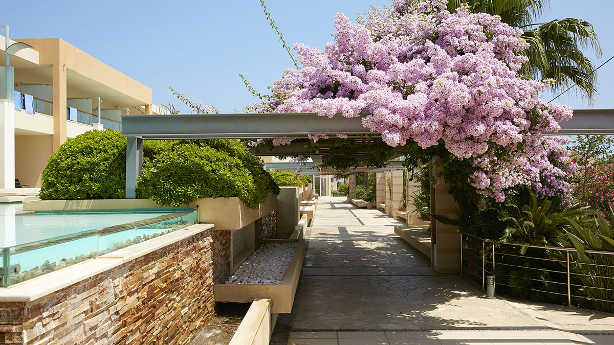 Minoa Palace Resort - NR